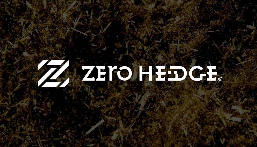 ZeroHedge com: Reputation, Controversies & Credibility
