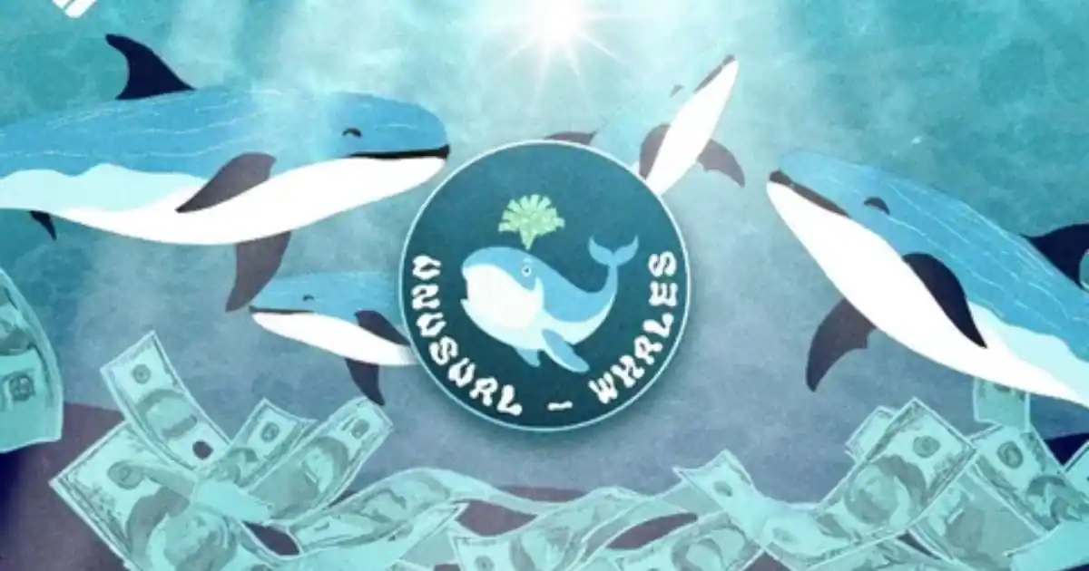 Unusual Whales Twitter: Essential Insights for Traders and Investors